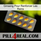Ginseng For Reinforcing Kidney cialis1